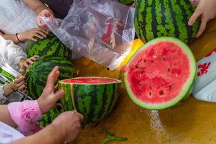 在哪有吃瓜视频,吃瓜视频的聚集地  第1张